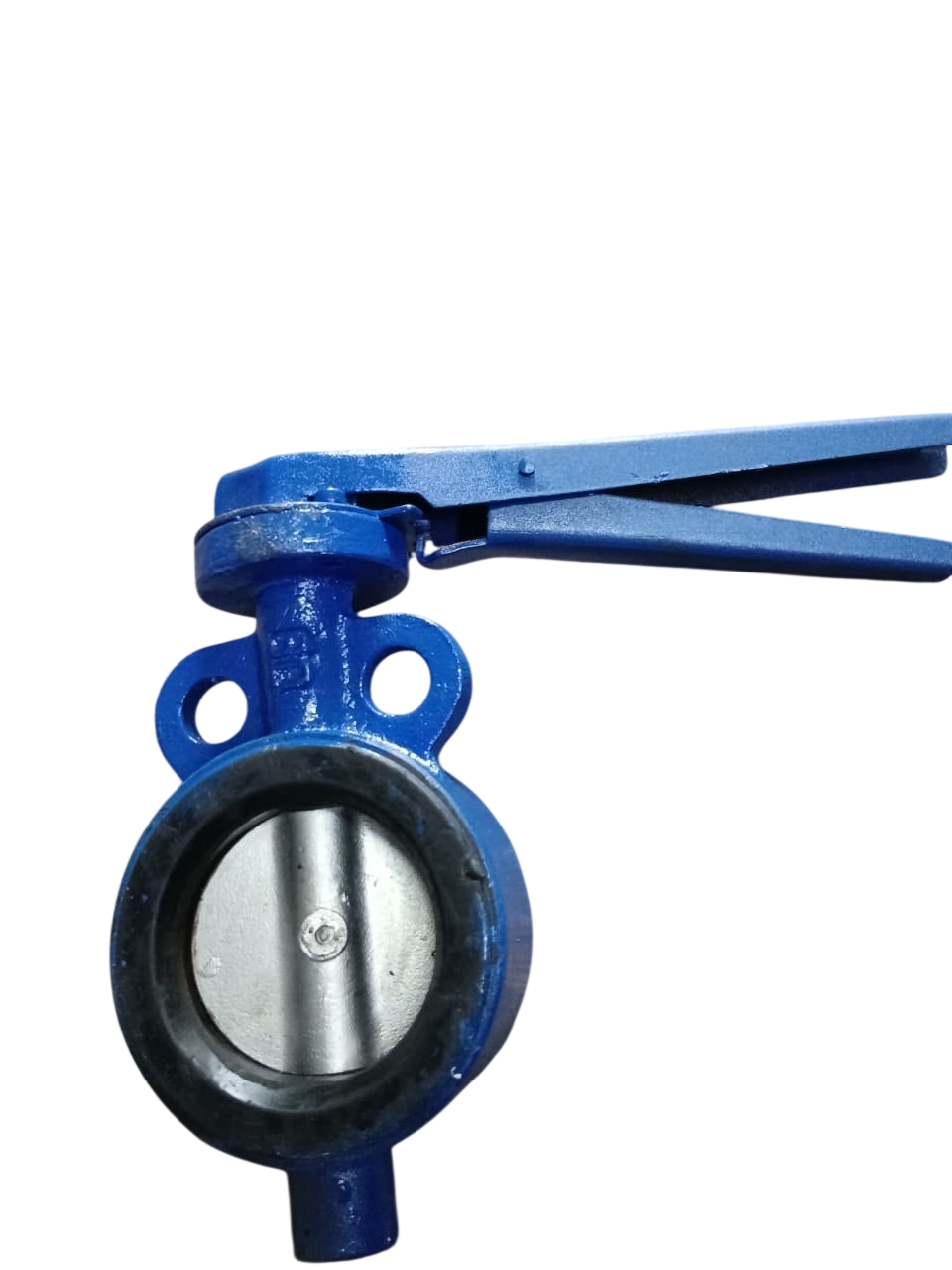 CI Butterfly Valve