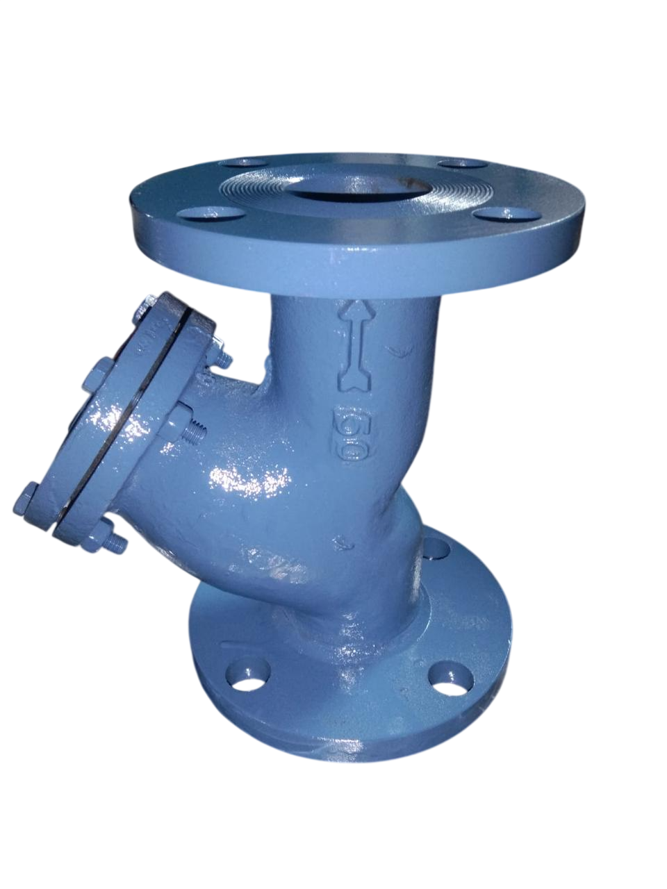 CI Strainer Flanged
